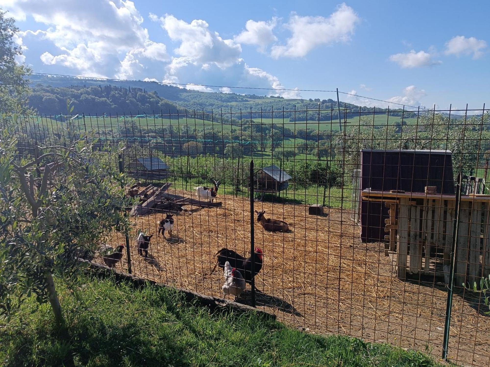 La Piccola Fattoria Villa Todi Exteriör bild