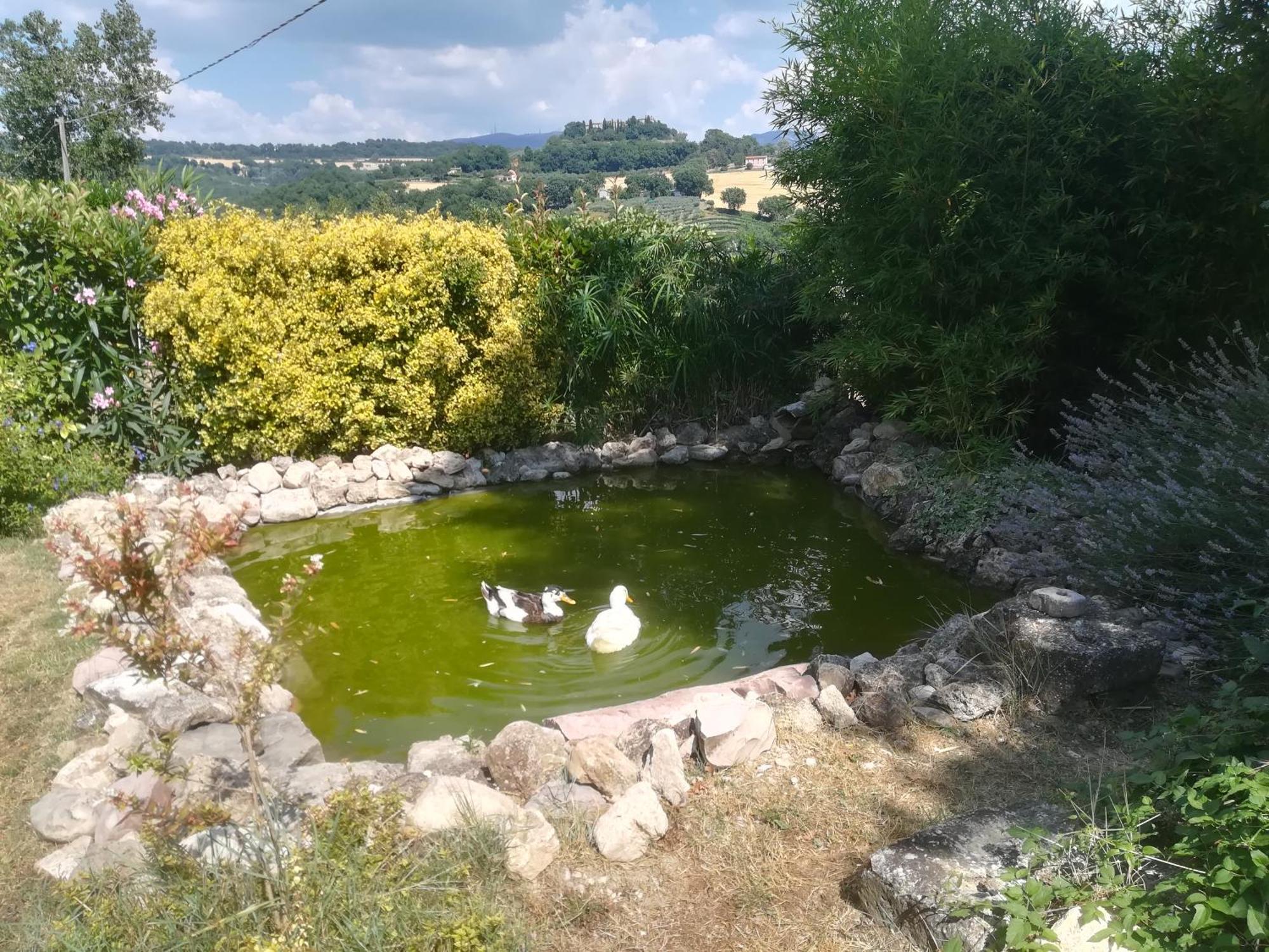 La Piccola Fattoria Villa Todi Exteriör bild