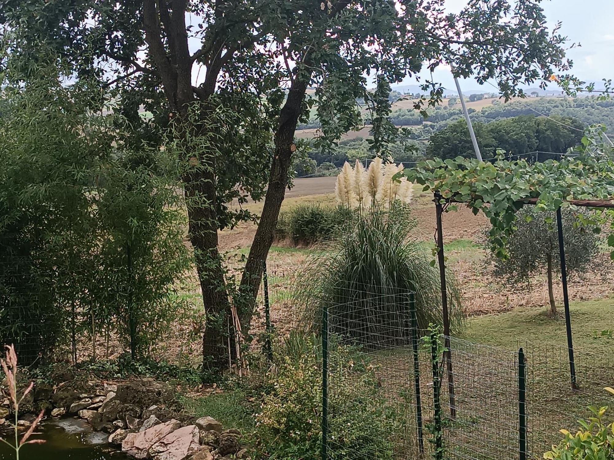 La Piccola Fattoria Villa Todi Exteriör bild