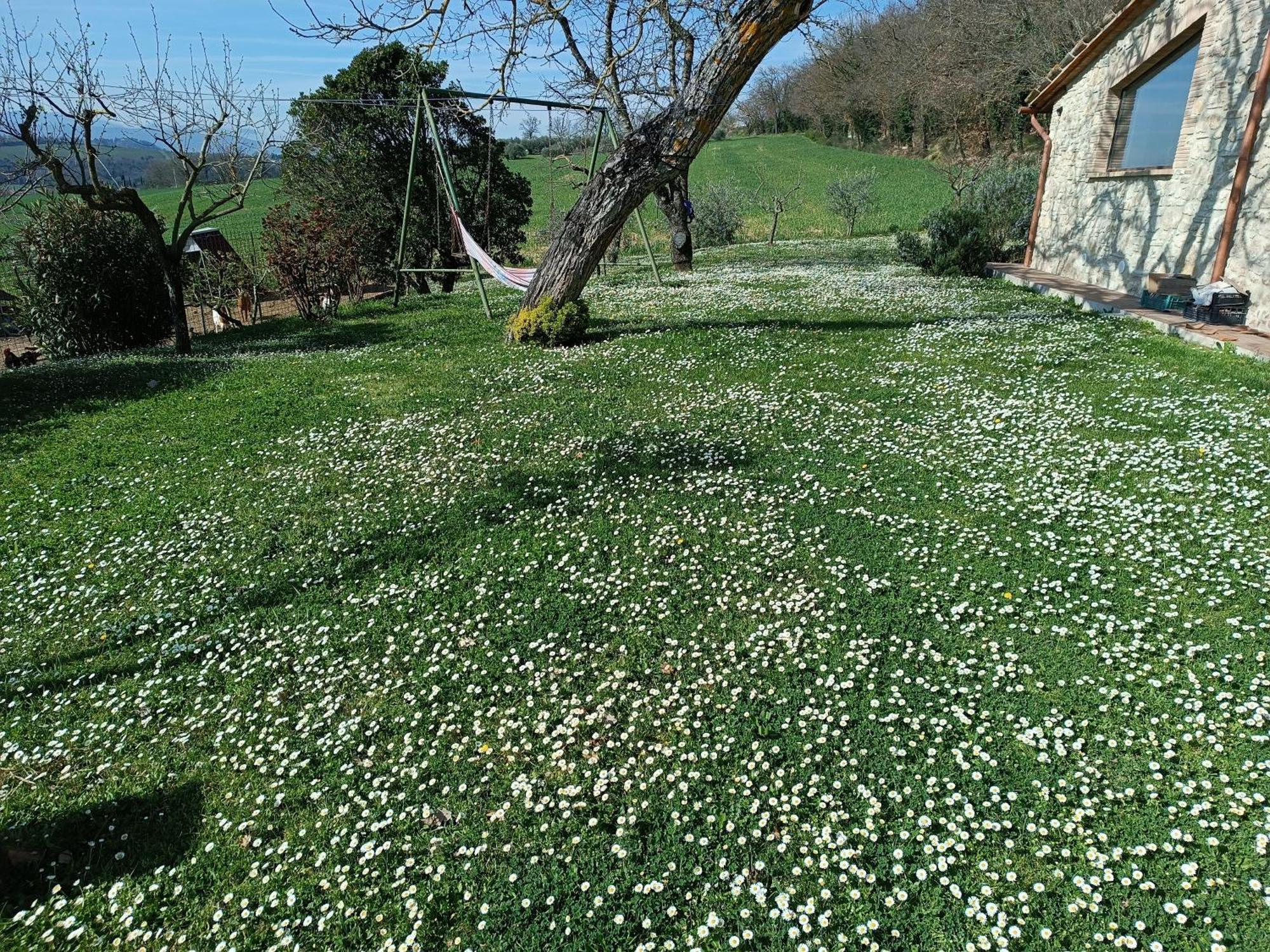 La Piccola Fattoria Villa Todi Exteriör bild